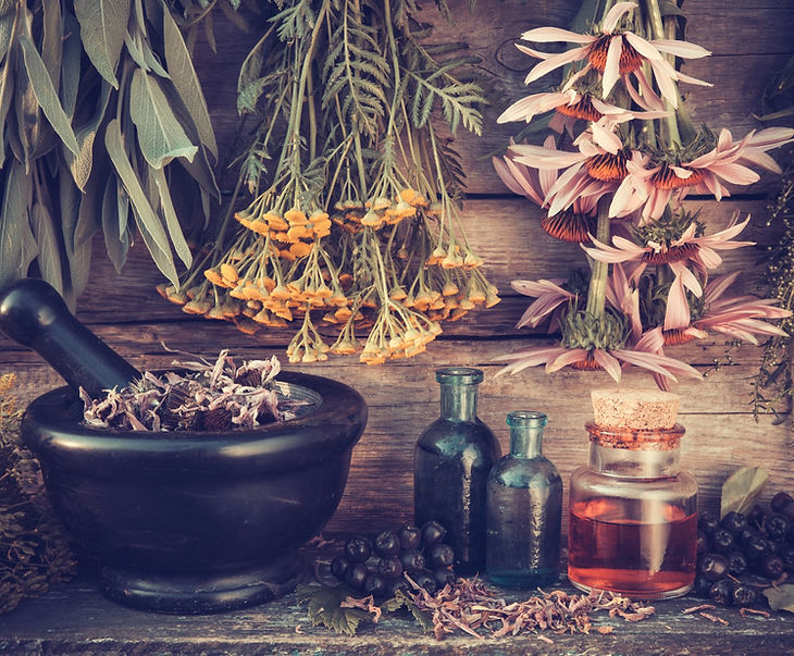 NN_phytotherapie.jpg