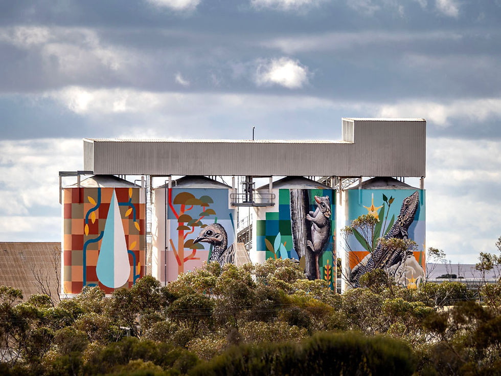 PUBLIC Silo Trail_Brenton See, Newdegate (2018). Photo by Bewley Shaylor, FORM.jpg