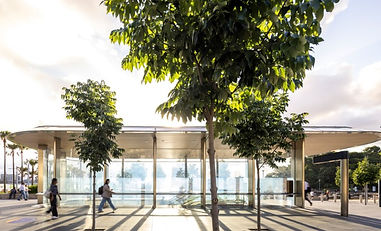 3BARAN~1 (Small).JPG