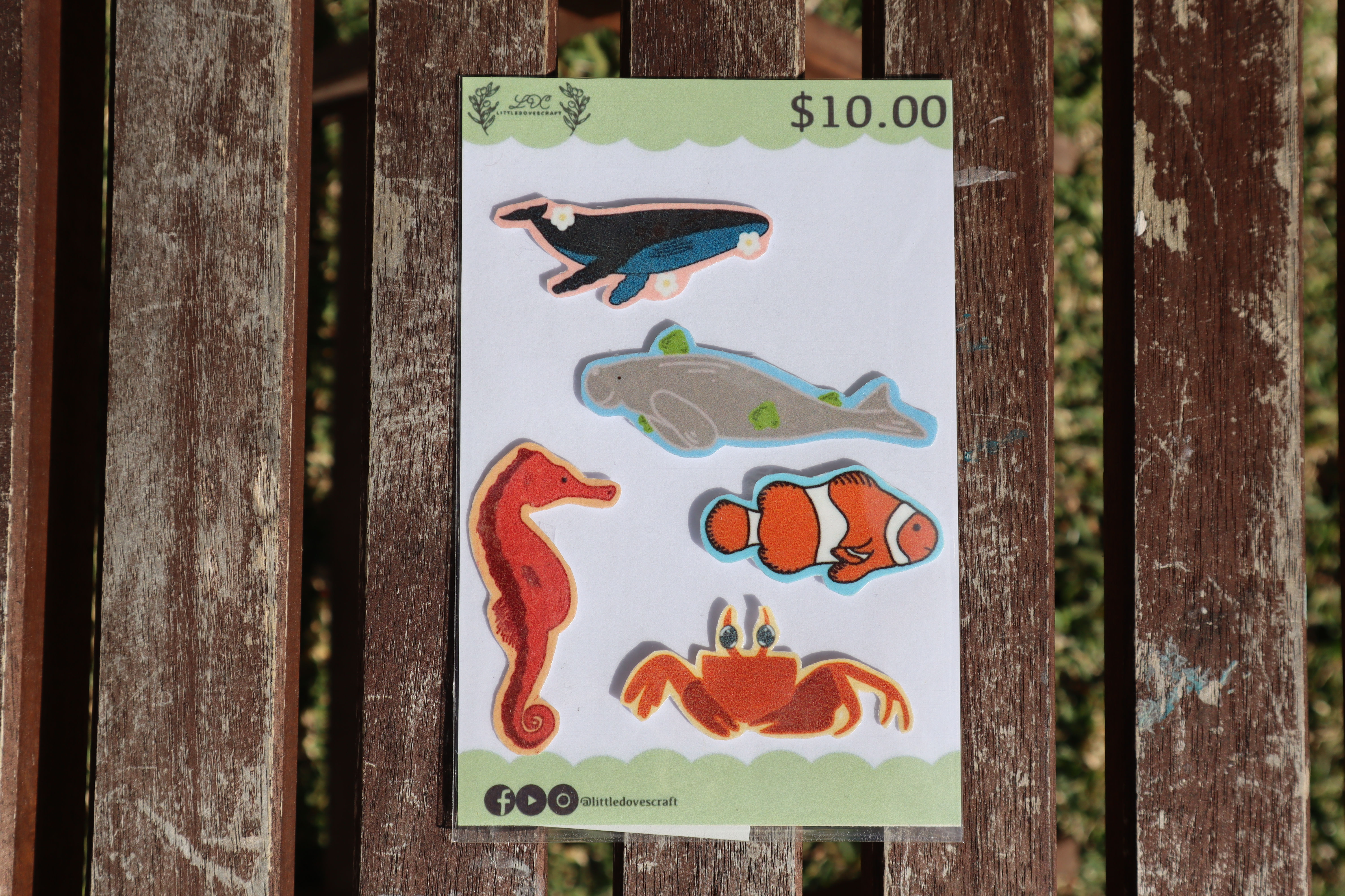Sea Creatures