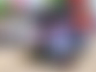 कटिहार-कुरेठा और कटिहार-सोनैली नई डबल लाइन का स्पीड ट्रायल सफल, कमीशनिंग से पहले संरक्षा और तैयारियों का किया गया आकलन