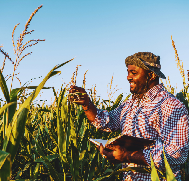 New Farmer in field