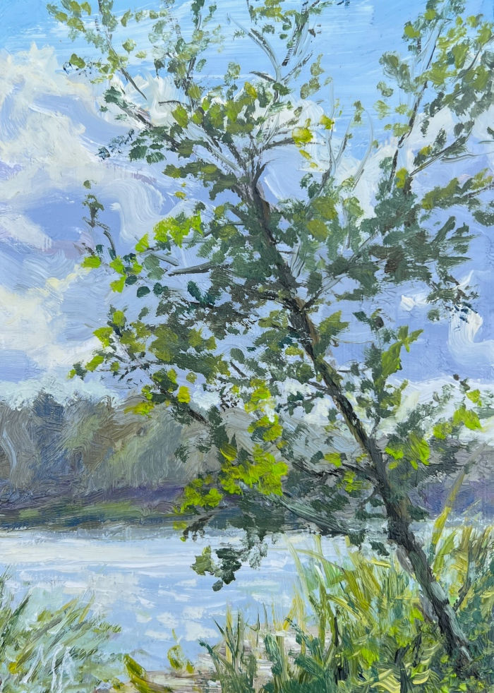 Het meertje, Marleen Bakker