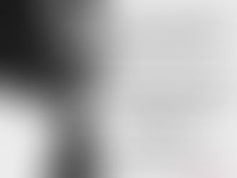 LE DISCOURE D'UN JEUNE GARÇON POUR SON FUTUR ÉPOUSE