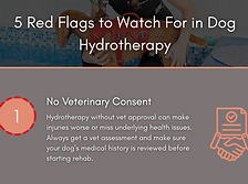 Screenshot 2025-10-19 at 17.06.58.png