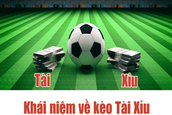 Hướng dẫn cách chơi tài xỉu bóng đá cho người mới
content media