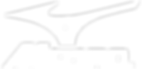 Mizuno