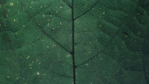 模型壓縮Model Compression與量化:優化神經網路以提高效能和效率