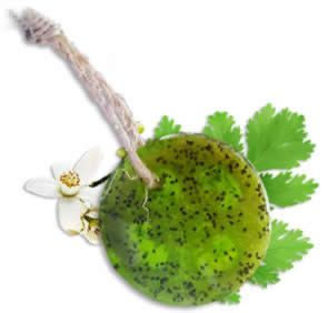Thumbnail: Speckless Soap Bar. Chia, Lemon, Parsley, and Coconut Oil.