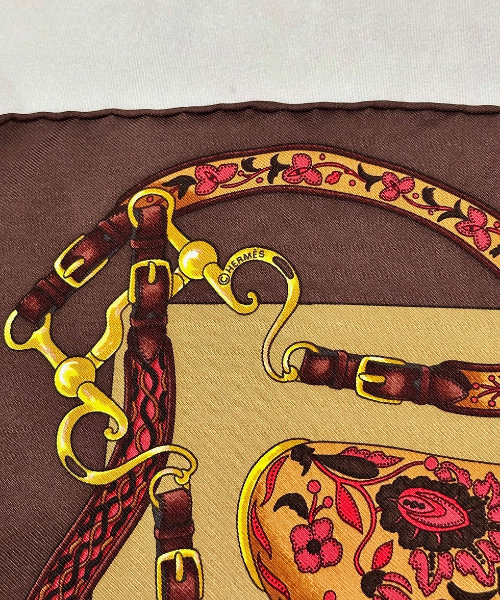 Thumbnail: Hermes x Henri d'Origny Scarf