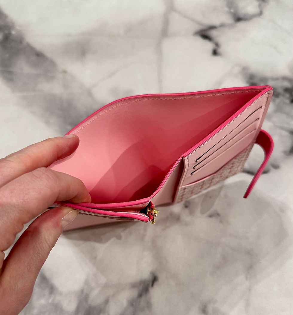 Thumbnail: Louis Vuitton Pink Vertical Wallet