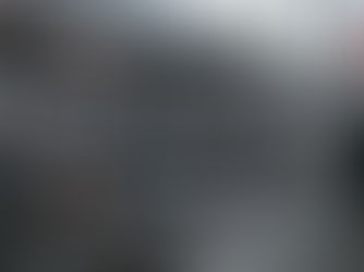 La grande deportazione. Cartoline dall'inferno Usa e Europa