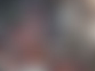 ALESSANDRO ROBECCHI. Gaza e quei "NO" a certa politica