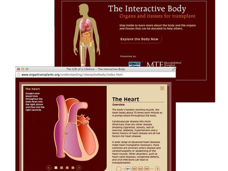 Interactive Body Crack (LifeTime) Activation Code [Latest-2022]