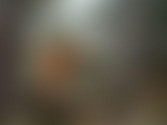 Wann ist ein Intensivkurs für Hunde sinnvoll?