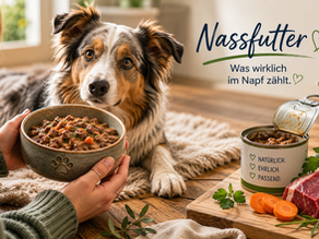 Nassfutter - was wirklich im Napf zählt.
