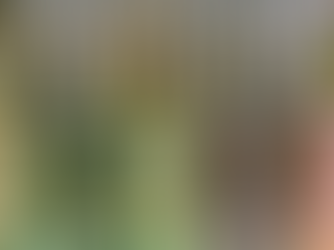 Best Gifts for the Fancy Friend