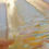 Thumbnail: Salacia 