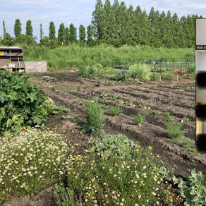 オンライン講座をはじめて。