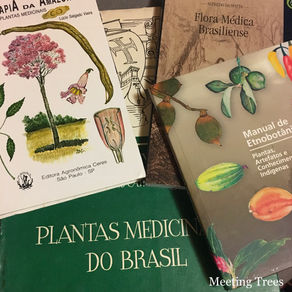 ブラジルハーブ療法の本