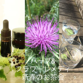 初春のお茶会＆フラワーレメディ プチカウンセリングのお知らせ