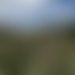 10月開講!「ピーターラビットと学ぶ英国ハーブ」 生活の木原宿表参道校