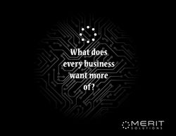 MERIT 3