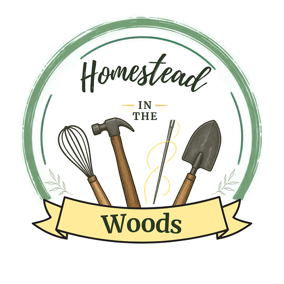 Homestead in the Woods
