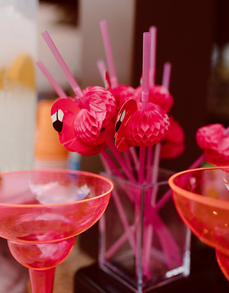 Blissfully Bri Photography - Pittsburgh Bridal Shower Event