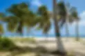 Barranquilla Colombia.webp