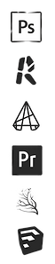 SKILLS_edited.png