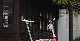 Brompton Cherry Blossom (Special Edition 2025)