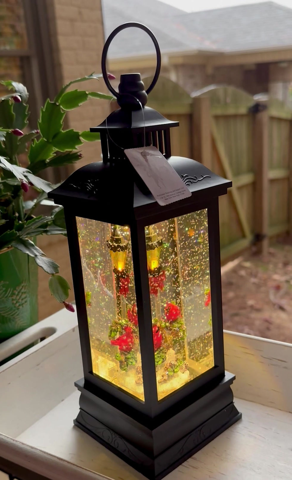 Thumbnail: Stunning Snow Globes
