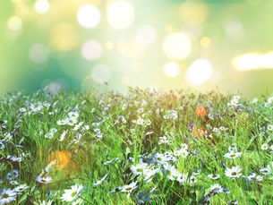 Haben Narzissten keine Empathie? – Mythos und Wahrheit über ihre Gefühle und Manipulation