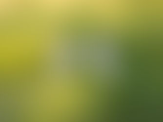 Kontrolle durch Unverbindlichkeit: Die unterschätzte Macht des Schwebezustands