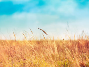 Isolation durch Narzissten als Werkzeug der Kontrolle und ihre Folgen für die Opfer