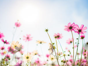 Kinder stärken und schützen nach der Trennung vom narzisstischen Elternteil