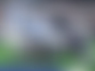 Breaking Down the Unprecedented Final Score of the Lions' Historic Win Against the Cowboys