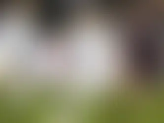 Galaxy complete their sweep of the Rapids with a decisive 4-1 win.