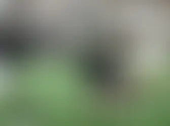 Colorado Stuns Georgia Tech With Last-Second Comeback and Blocked Field Goal.