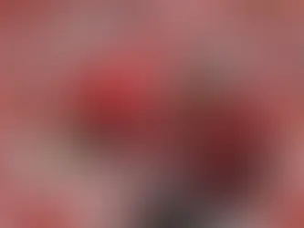 No. 2 Ohio State Dominates Akron 52-6 in a Commanding Victory