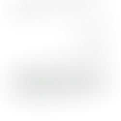 Pesquisadoras PUBLICAM ARTIGO SOBRE as escolas de governo