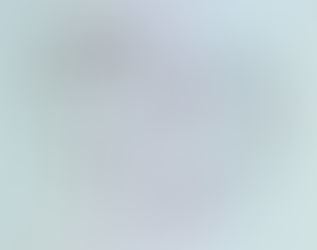 Anne Swinbourne wins the Established Researchers Division at the JCU 3MT Finals