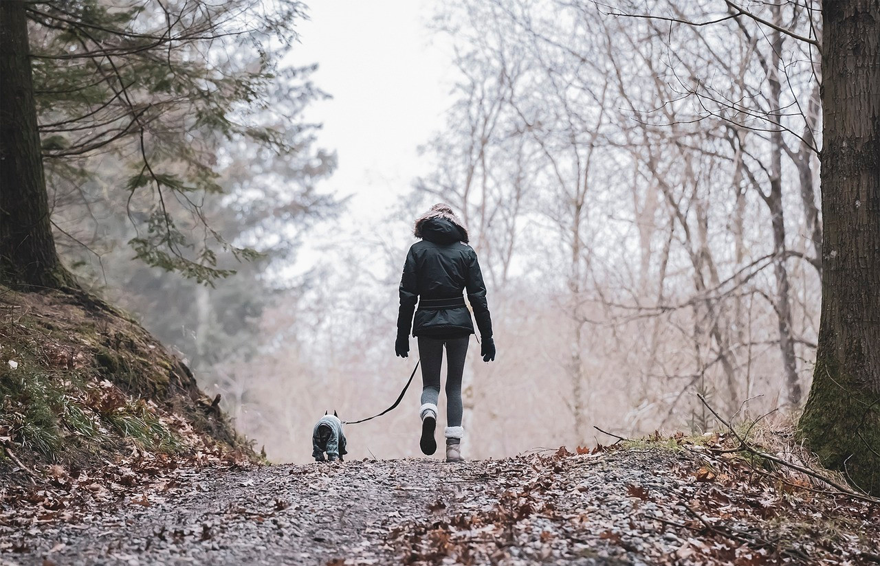 Picture Of Dog Walker