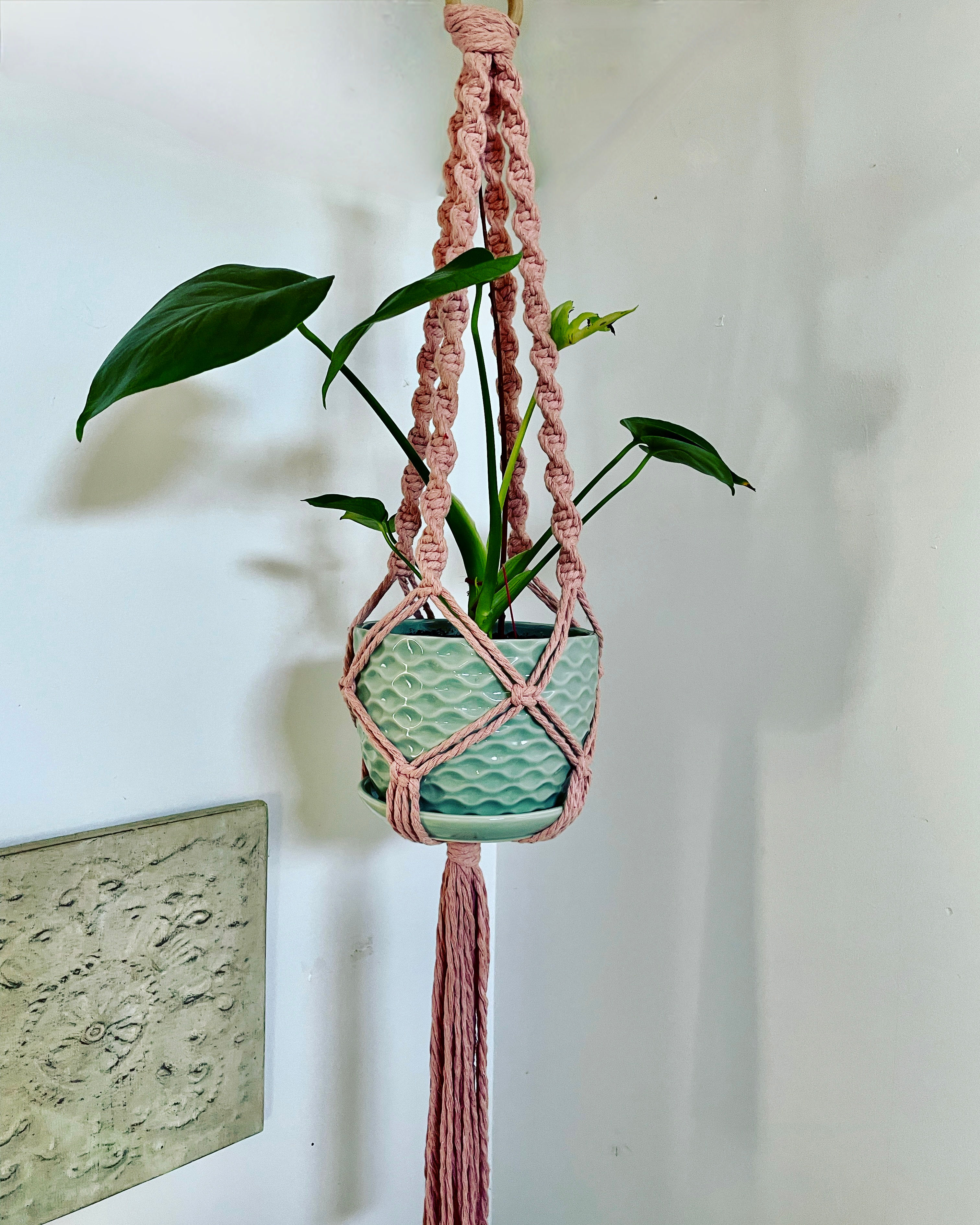 Twisted Macrame Plant Hanger
