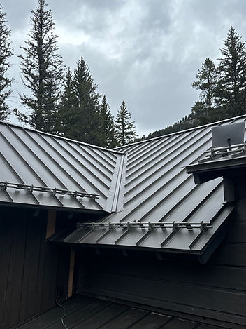 Roof.jpg