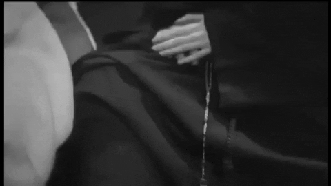 b987c0_fc649e7ba71e4e85ad1883e2ad5630d7~mv2.gif