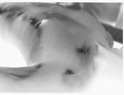 MAX_SOLARIZED-001.jpg