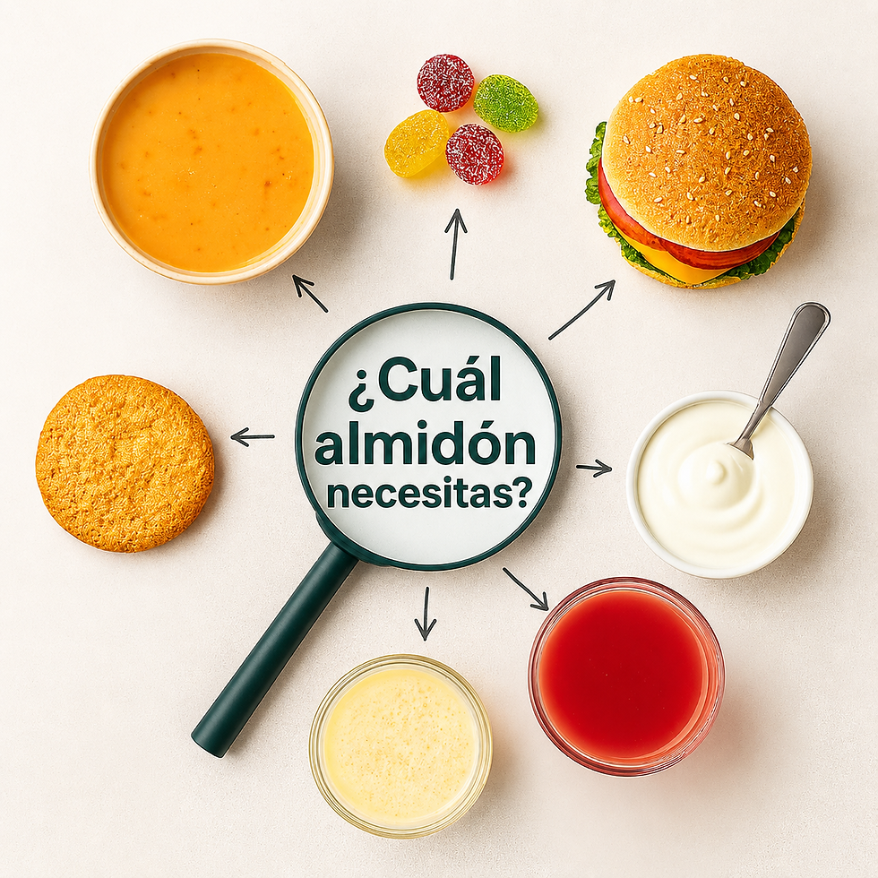 CLAVES TÉCNICAS PARA ELEGIR EL ALMIDÓN MODIFICADO IDEAL PARA TU PRODUCTO