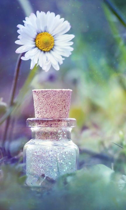 daisybottle_edited_edited.jpg